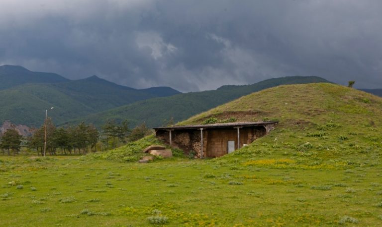 Калина палас